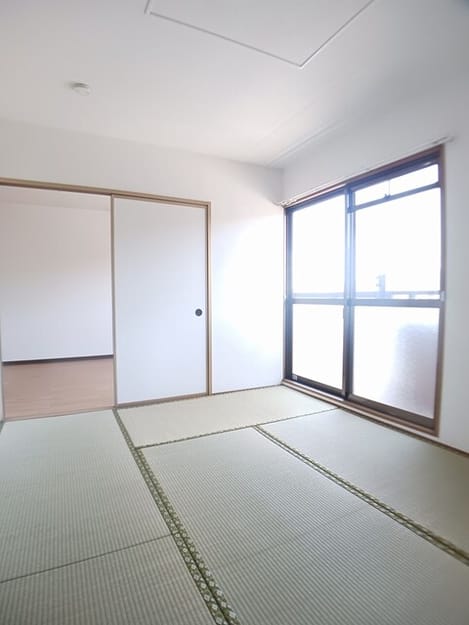 Naikan8 20260525000000