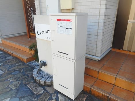 Naikan8 20250121000000