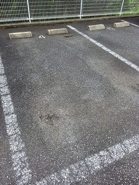 Naikan11 20260612000000 945x630