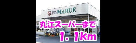 Naikan15 20140304000000