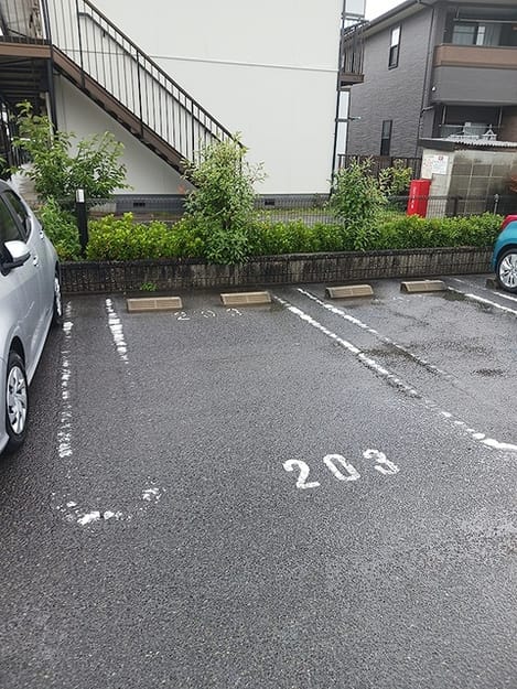 Naikan11 20260625000000