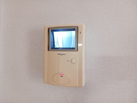 Naikan9 20260824000000
