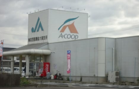 Naikan17 20231125000000