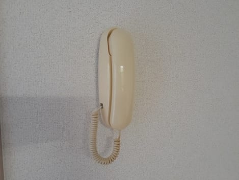 Naikan9 20231108000000