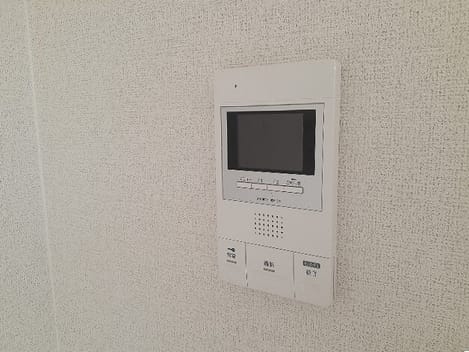 Naikan11 20260105000000