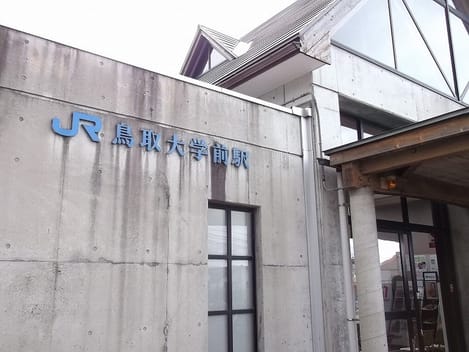 Naikan18 20200401000000