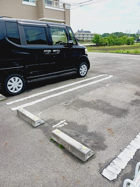 Naikan11 20260129000000