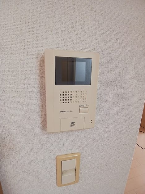 Naikan11 20260819000000