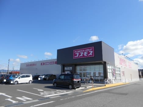 Naikan17 20250620000000