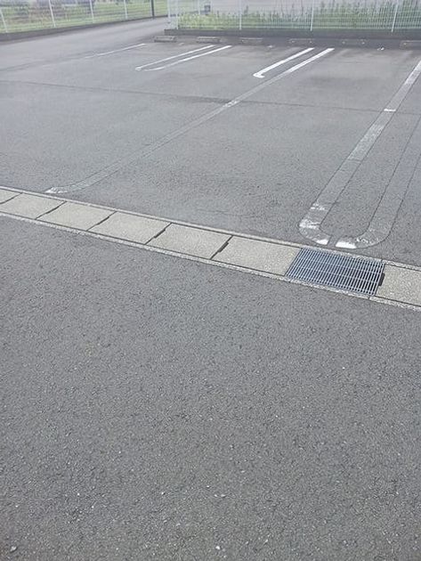 Naikan11 20260825000000 945x630