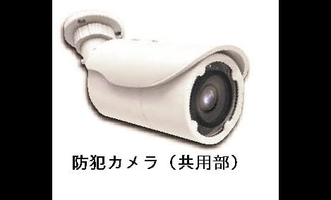 Naikan8 20260706000000