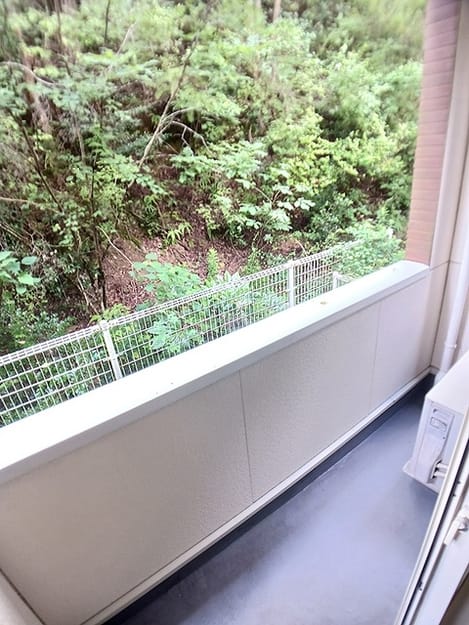 Naikan8 20260806000000