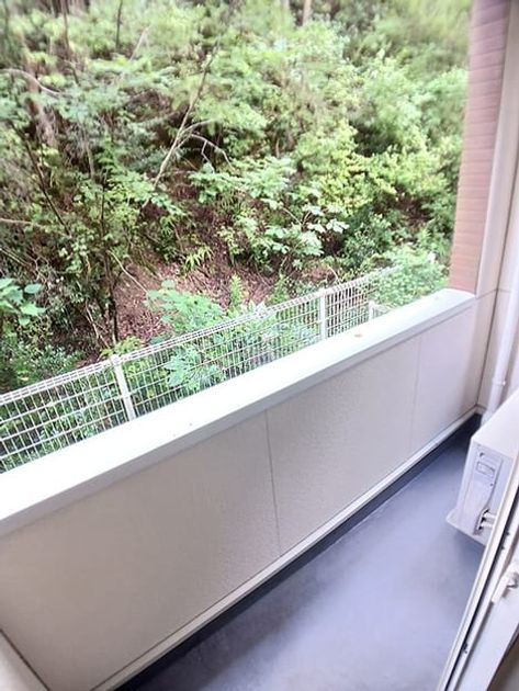 Naikan8 20260806000000 945x630