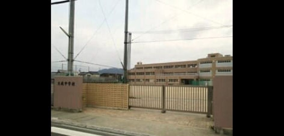 Naikan14 20250714000000 945x630