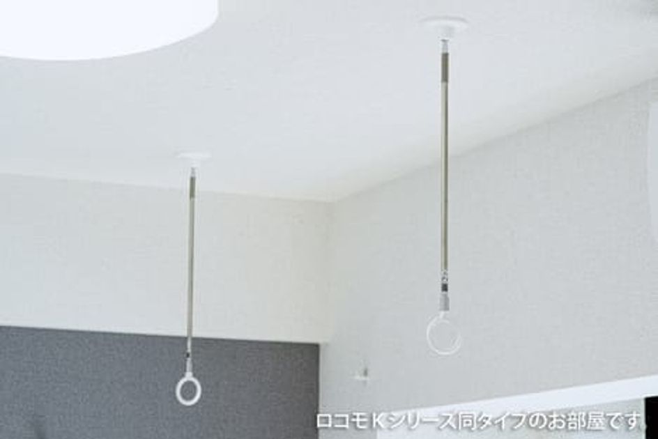 Naikan11 20251209000000 945x630