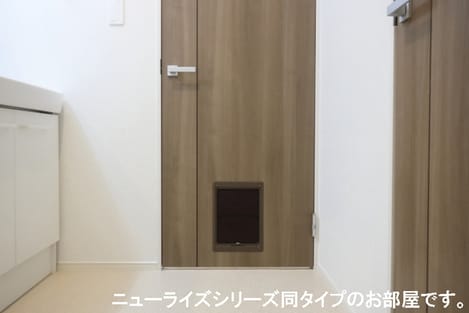 Naikan11 20260603000000