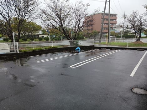 Naikan11 20241002000000