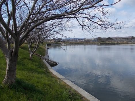 Naikan13 20200305000000