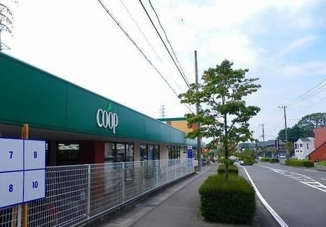 Naikan17 20250910000000