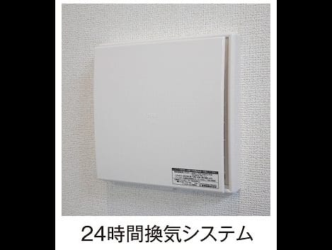 Naikan11 20260817000000