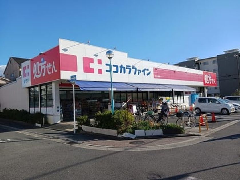Naikan17 20250219000000 945x630