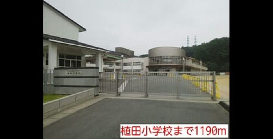 Naikan16 20141030000000 945x630