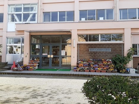 Naikan17 20230411000000