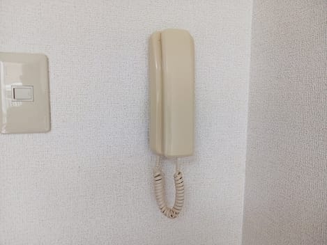 Naikan8 20260907000000