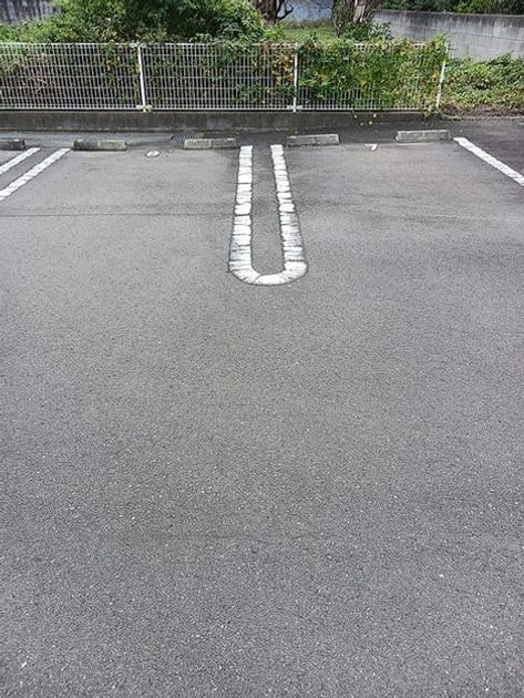 Naikan11 20261021000000 945x630