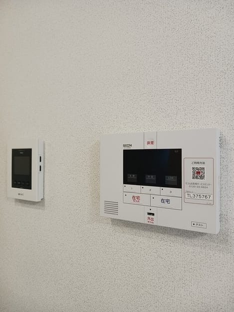 Naikan11 20250130000000