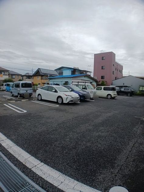 Naikan7 20241028000000 945x630