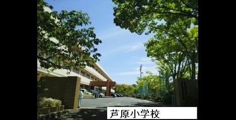Naikan18 20210604000000