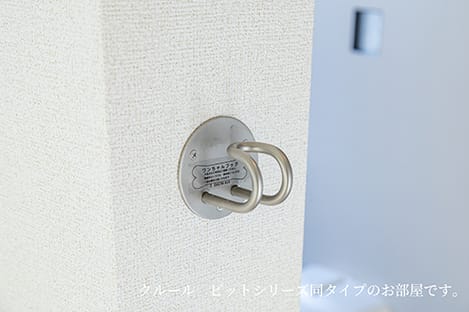 Naikan7 20260615000000