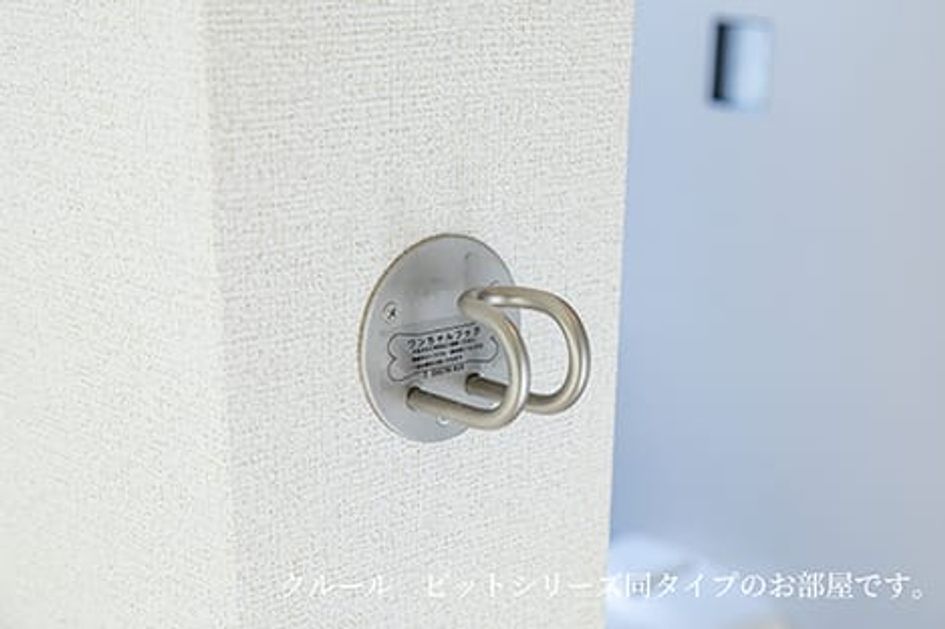 Naikan7 20260615000000 945x630