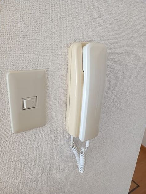 Naikan12 20251006000000 945x630