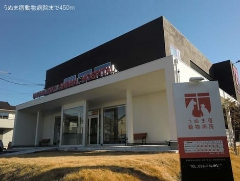 Naikan17 20240701000000