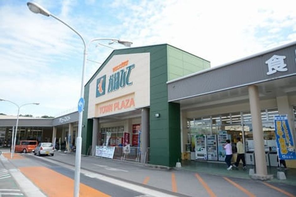 Naikan13 20210619000000 945x630