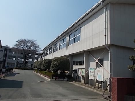 Naikan13 20250404000000