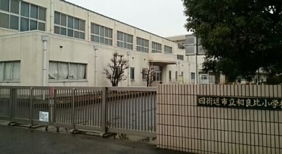 Naikan13 20211226000000 945x630