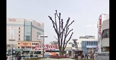 Naikan18 20200212000000