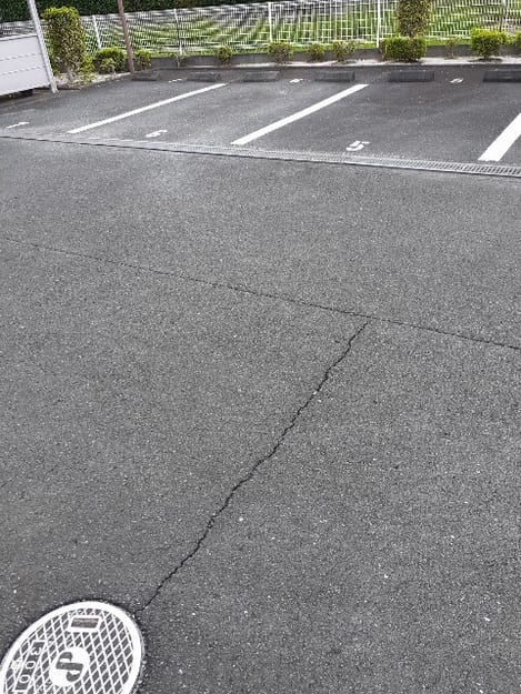 Naikan10 20260902000000