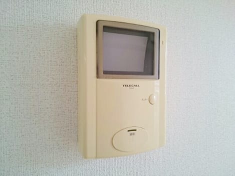 Naikan11 20241213000000