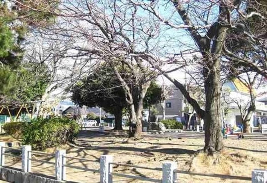 Naikan17 20200529000000 945x630