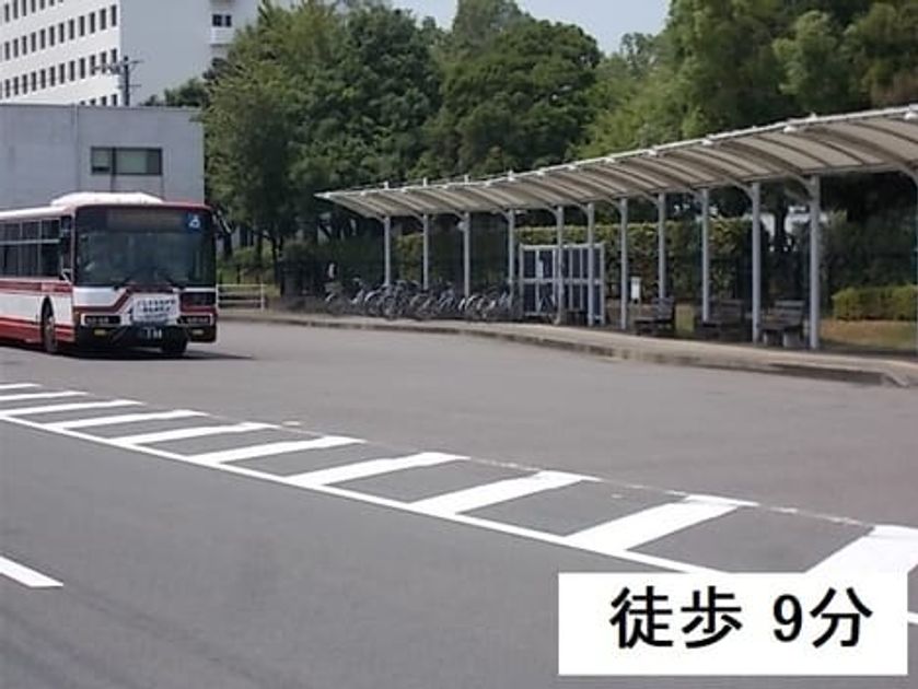 Naikan16 20220609000000 945x630