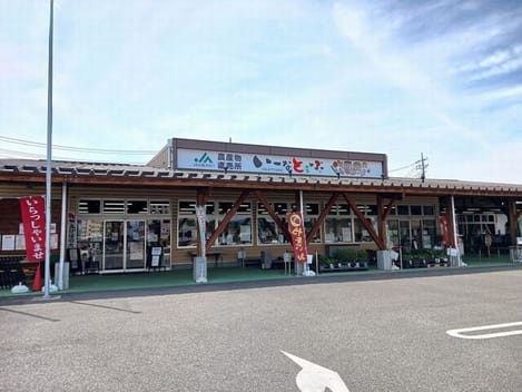 Naikan16 20260827000000