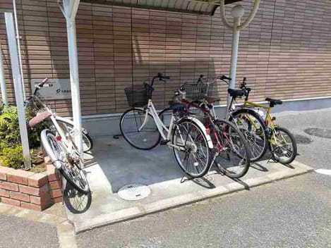 Naikan11 20260929000000