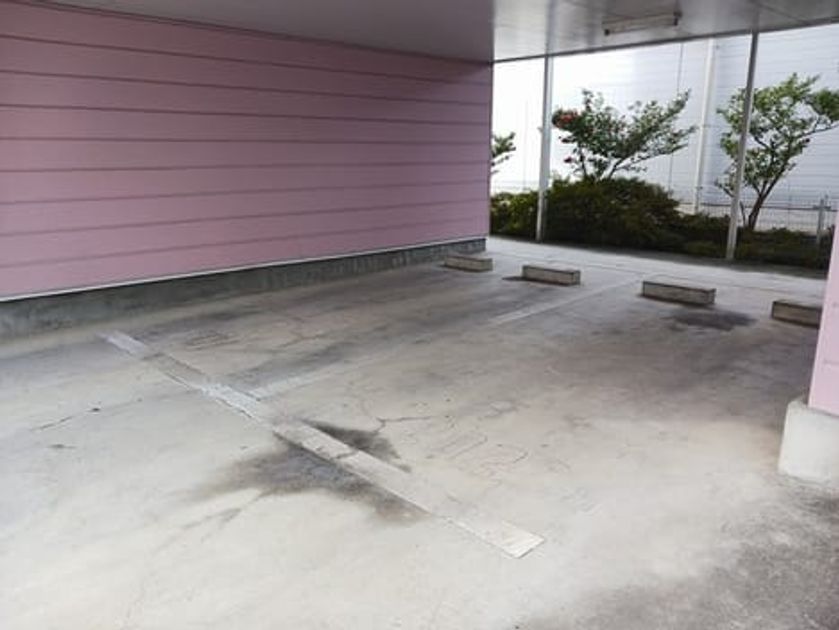 Naikan11 20241225000000 945x630