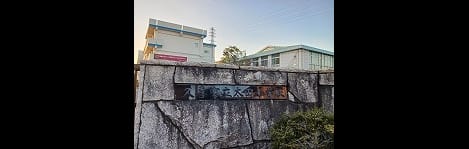 Naikan15 20260205000000