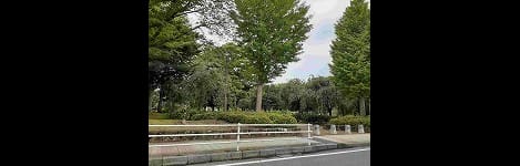 Naikan18 20260205000000