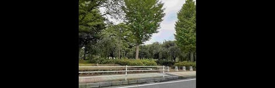 Naikan18 20260205000000 945x630